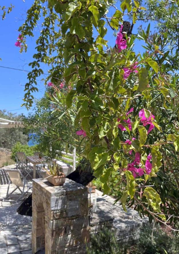 Lithea Villas And Studios By The Sea Agios Petros  Exteriér fotografie