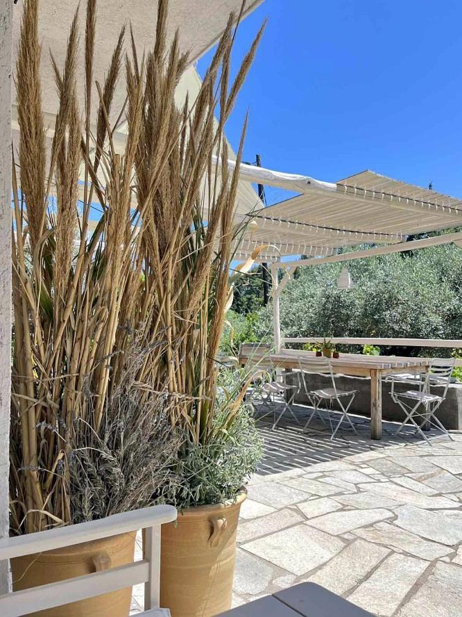 Lithea Villas And Studios By The Sea Agios Petros  Exteriér fotografie